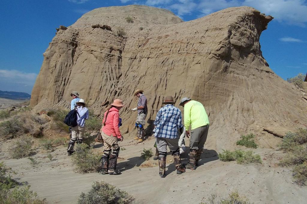 古生物学 degree students 和 Dr. 塞茨 prospecting for new fossils in the Hell Creek Formatio...